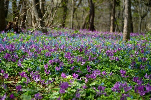 DSC00751.jpg
