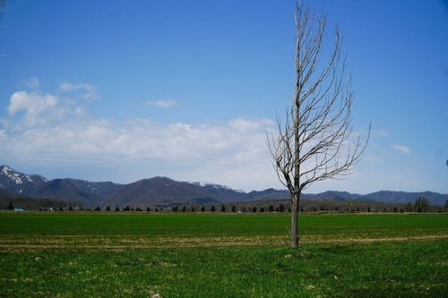 DSC00810.jpg