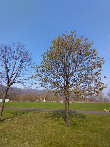 DSC_0745.jpg