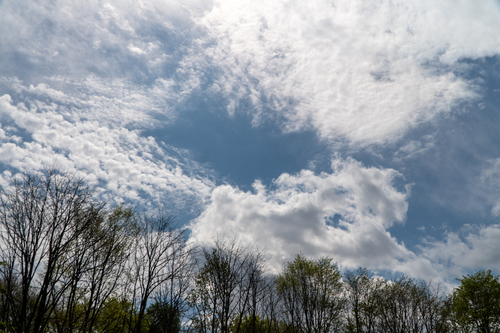 空-1.jpg